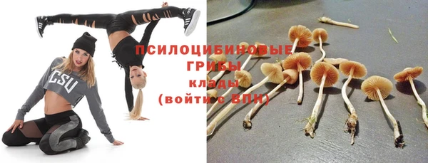 ПСИЛОЦИБИНОВЫЕ ГРИБЫ Дмитриев