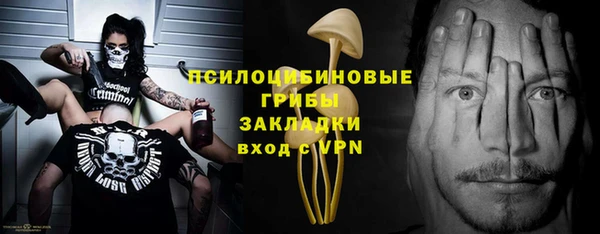 крисы Гусев
