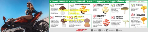 крисы Гусев