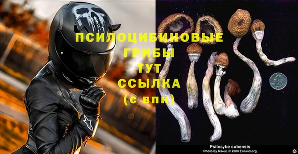 хмурый Гусиноозёрск