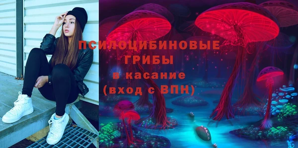 крисы Гусев