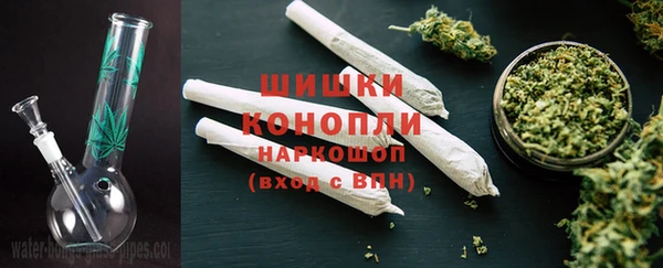 крисы Гусев